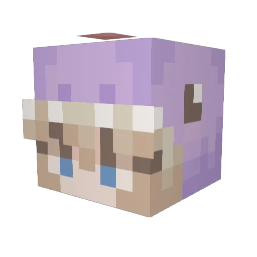 Rainyary Minecraft avatar head, 3D render