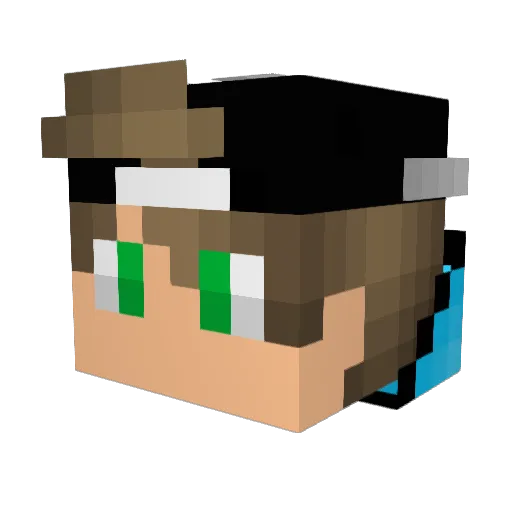 Rainycat Minecraft avatar head, 3D render