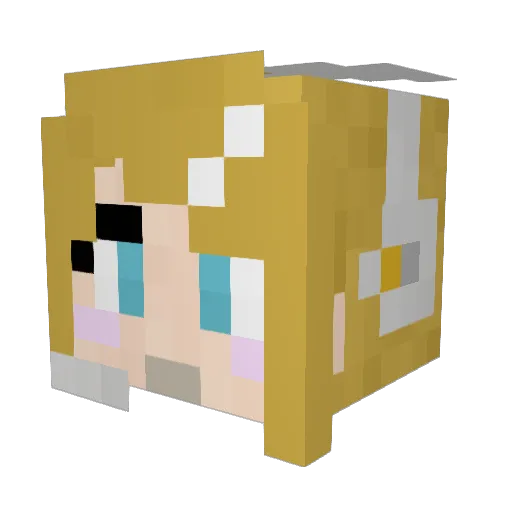 Rainycold Minecraft avatar head, 3D render