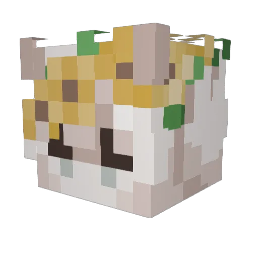 Rainyz987 Minecraft avatar head, 3D render