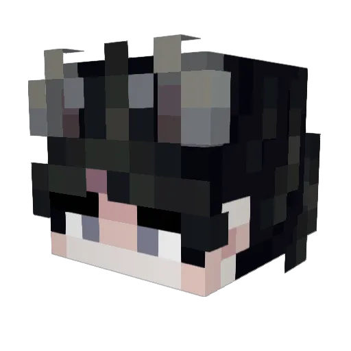 RainzTheDuke Minecraft avatar head, 3D render