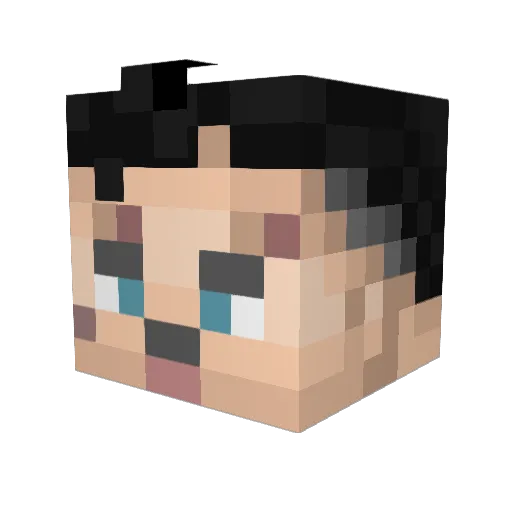 Raiokun Minecraft avatar head, 3D render