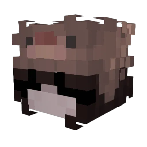 Raisa2011 Minecraft avatar head, 3D render