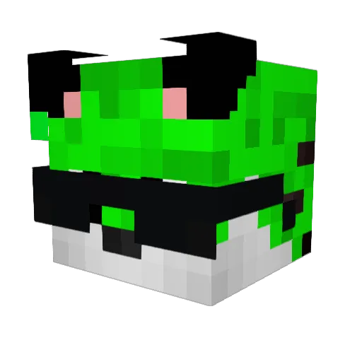 RaisetheRedFlag Minecraft avatar head, 3D render
