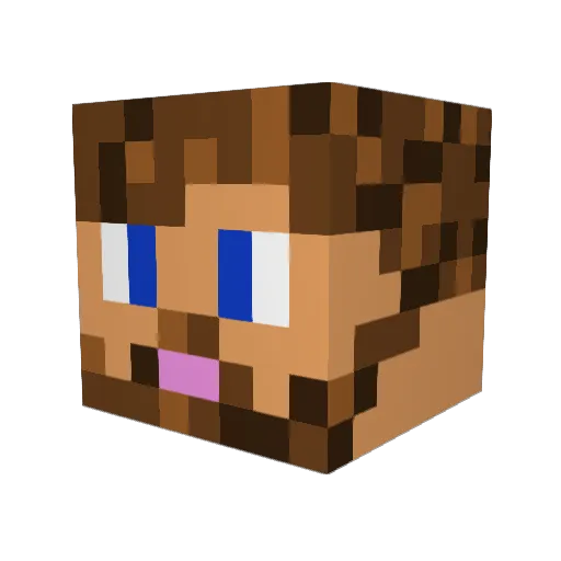 RaisinBran1 Minecraft avatar head, 3D render