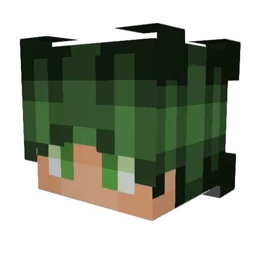 RaisinGaming Minecraft avatar head, 3D render