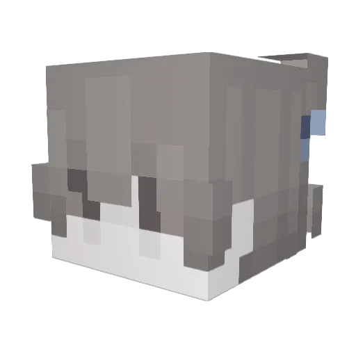 RaisinLovesOW Minecraft avatar head, 3D render