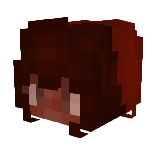 RaisinPran24 Minecraft avatar head, 3D render