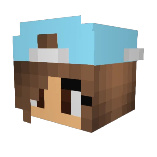 Raisin_Bran_ Minecraft avatar head, 3D render