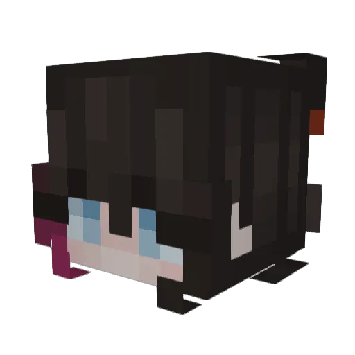 Raisin_Brann_ Minecraft avatar head, 3D render