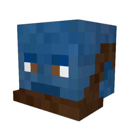 Raisin_Eater Minecraft avatar head, 3D render