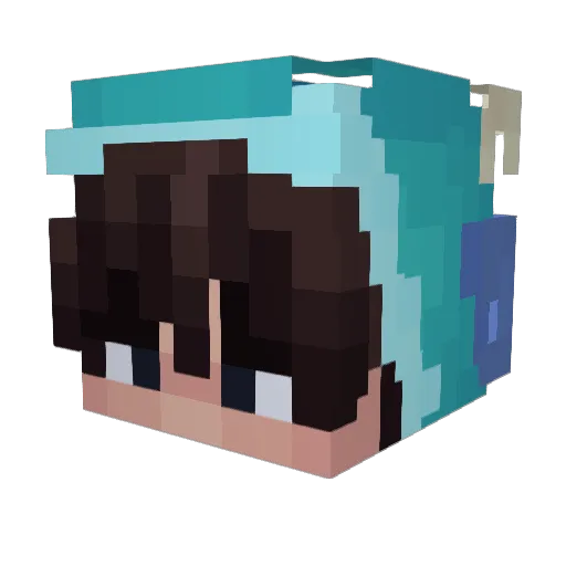 Raisin_Soda Minecraft avatar head, 3D render