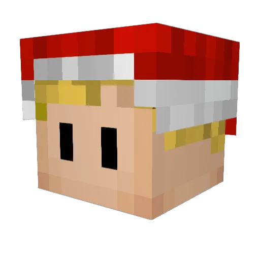 Raisinapplepie Minecraft avatar head, 3D render