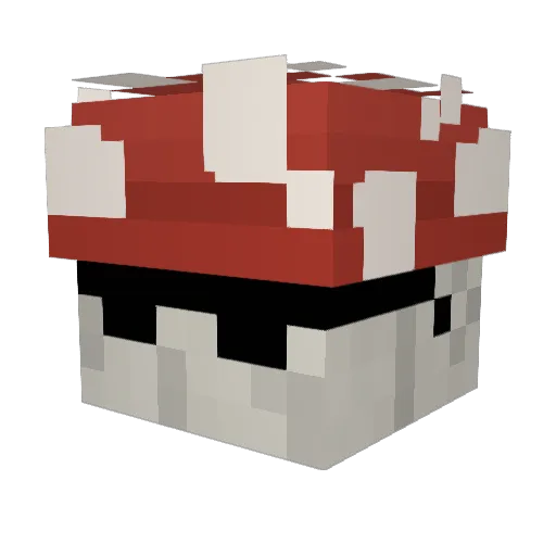 Raisonss Minecraft avatar head, 3D render