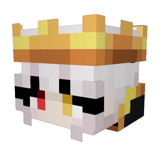 Raissinhaaa Minecraft avatar head, 3D render