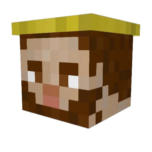 Raistan Minecraft avatar head, 3D render