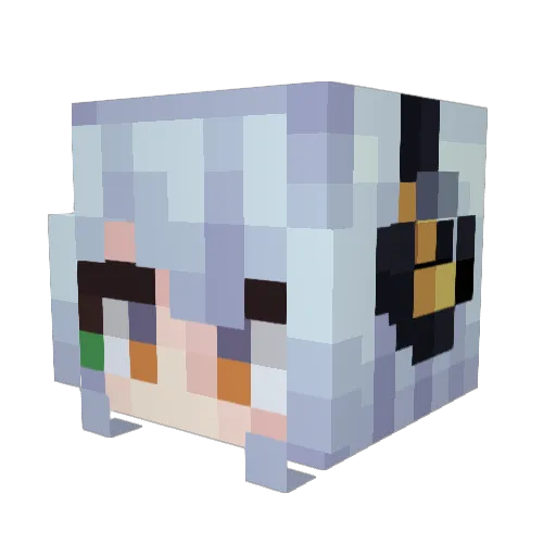 Raisu_soup Minecraft avatar head, 3D render