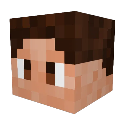 RaitooMC Minecraft avatar head, 3D render