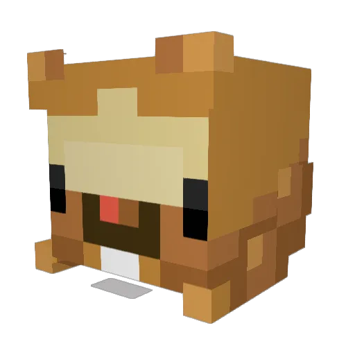 Raixion Minecraft avatar head, 3D render