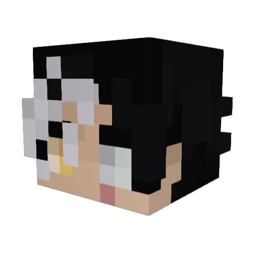 Raiz3l_ Minecraft avatar head, 3D render