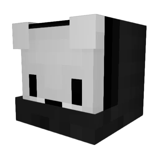 RaizaiirYT Minecraft avatar head, 3D render