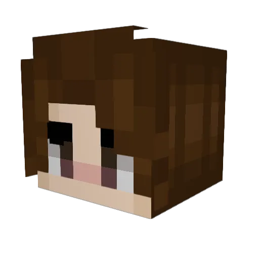 Raizen69 Minecraft avatar head, 3D render