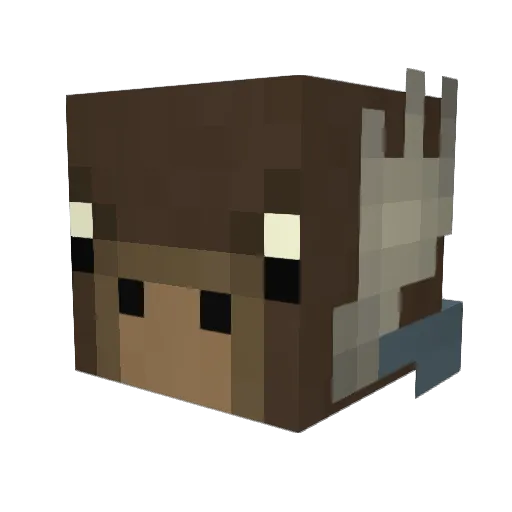 Raizeris Minecraft avatar head, 3D render