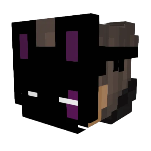 Raizo020 Minecraft avatar head, 3D render