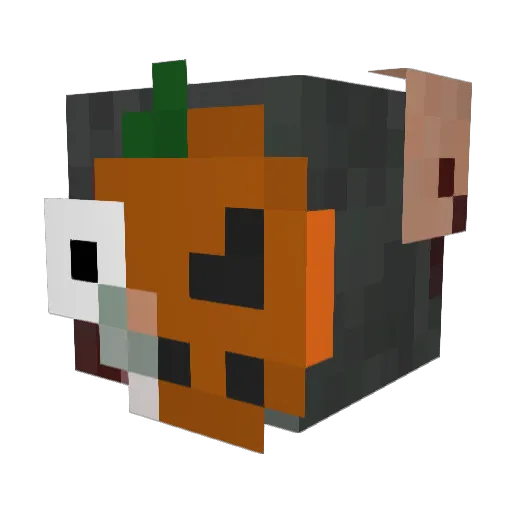 Raizz89 Minecraft avatar head, 3D render