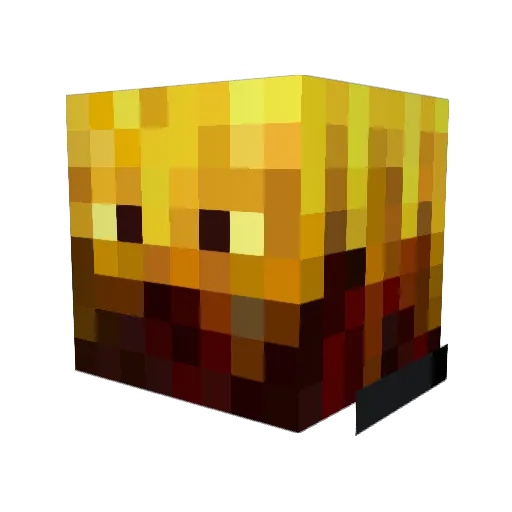 Rajan14 Minecraft avatar head, 3D render