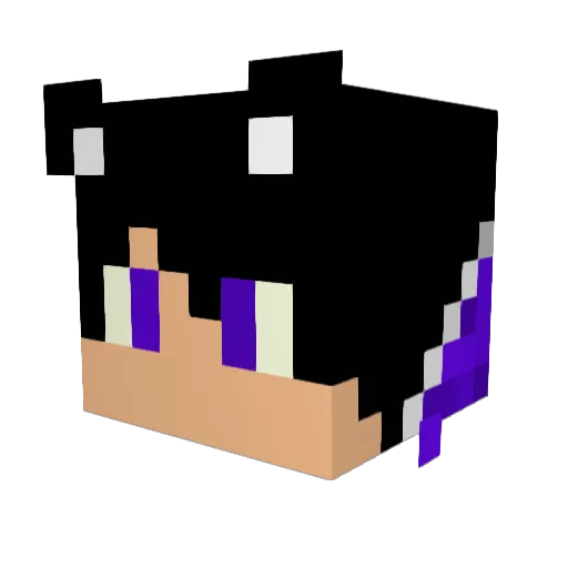 Rajan1999 Minecraft avatar head, 3D render