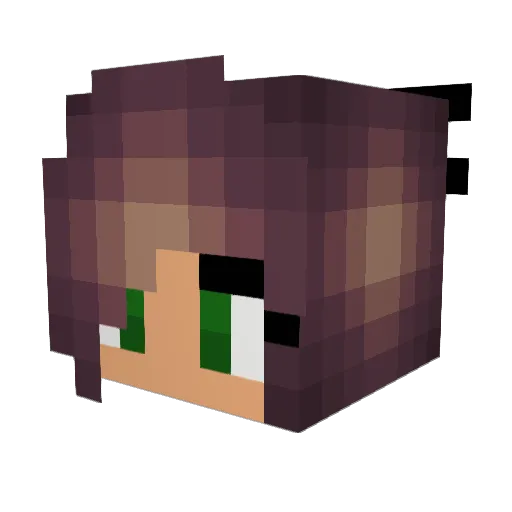 Rajinka Minecraft avatar head, 3D render
