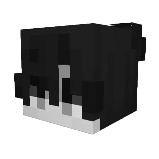 Rajmundini Minecraft avatar head, 3D render