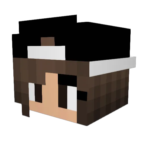 RakSchingSching Minecraft avatar head, 3D render