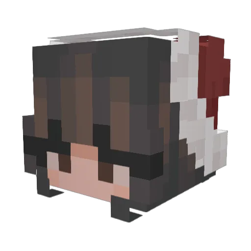 Rak_Atak Minecraft avatar head, 3D render