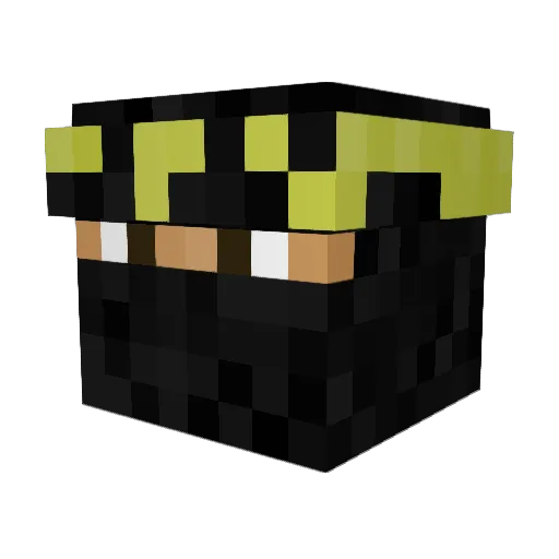 Rakas44 Minecraft avatar head, 3D render