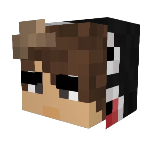 RakeRP_YT Minecraft avatar head, 3D render