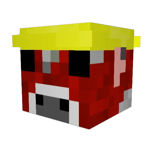 Rakentaja270 Minecraft avatar head, 3D render