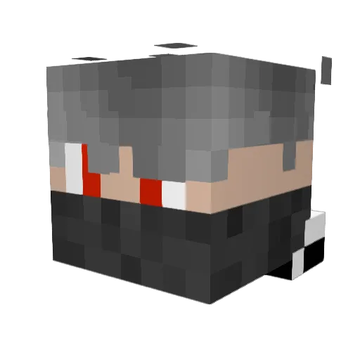 RaketenJoe Minecraft avatar head, 3D render