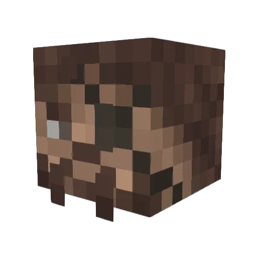Rakez Minecraft avatar head, 3D render