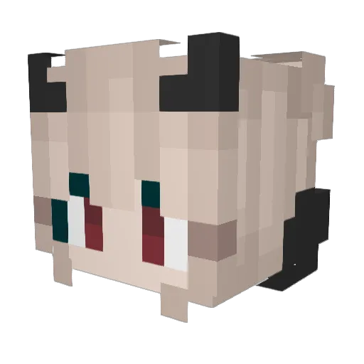 Rakii02 Minecraft avatar head, 3D render