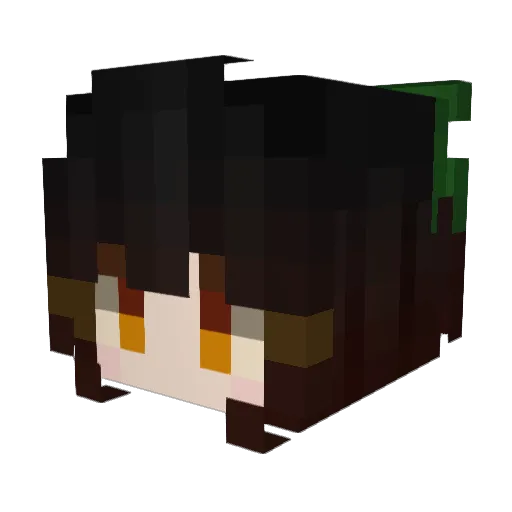 Rakket11 Minecraft avatar head, 3D render
