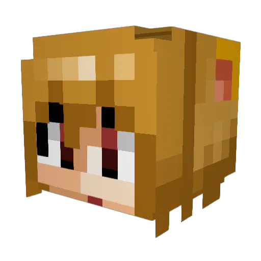 Rakknak Minecraft avatar head, 3D render