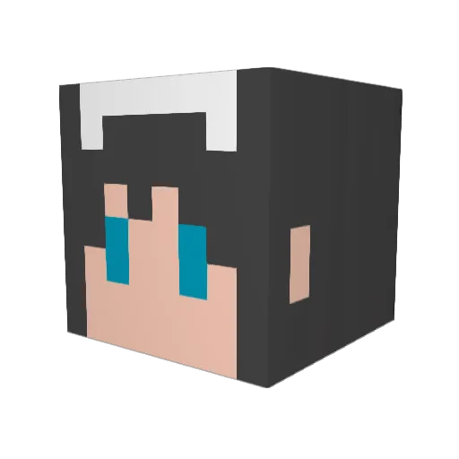 RakkyoN Minecraft avatar head, 3D render