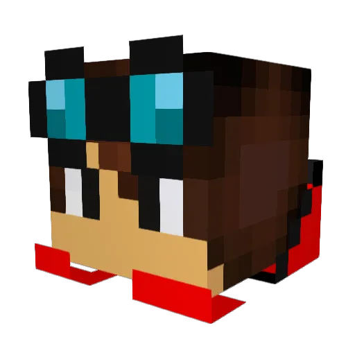 Rako100 Minecraft avatar head, 3D render