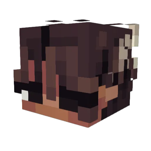 RakoPlus Minecraft avatar head, 3D render