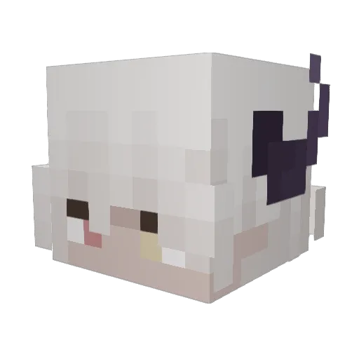 Rakoi Minecraft avatar head, 3D render