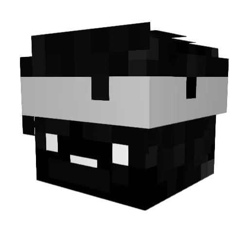 RakosGaming Minecraft avatar head, 3D render