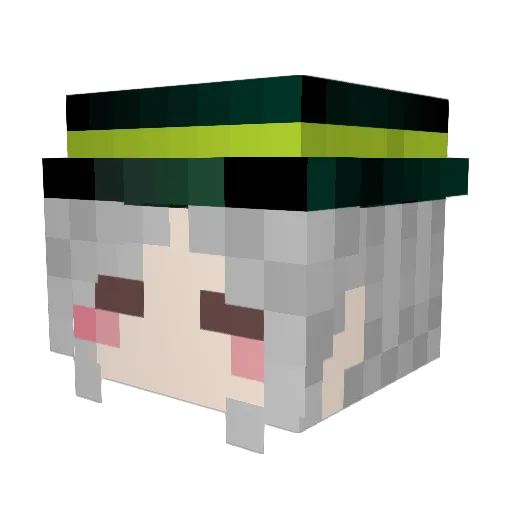 Rakoska351 Minecraft avatar head, 3D render