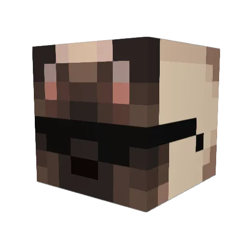 Rakowski_ Minecraft avatar head, 3D render